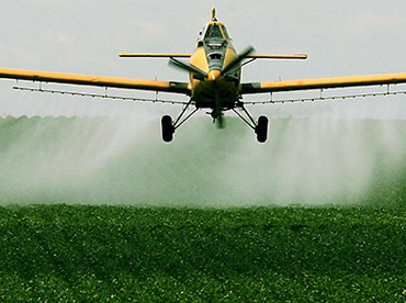 Pesticide production